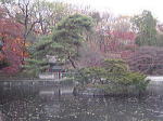秘苑（ピウォン）にある四角い芙蓉池（プヨンジ）この池を眺めながら王が人目を気にせず釣りや読書を楽しんだとか･･･「チャングムの誓い」でチャングムと王が散歩したのがここ